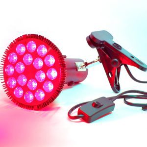 54W Red Light Therapy Bulb w Holder